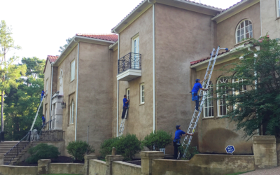 Best Window Cleaners