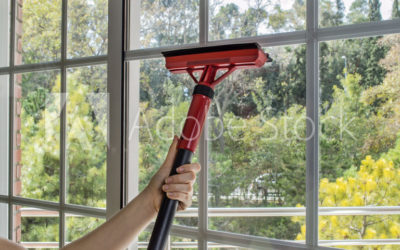Professional Window Cleaning