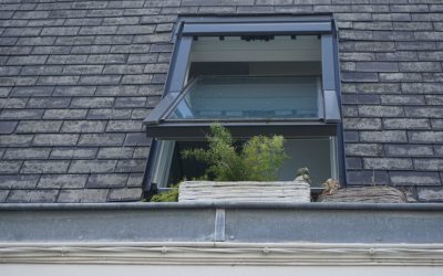 Protecting Your Roof From Gloeocapsa Magma