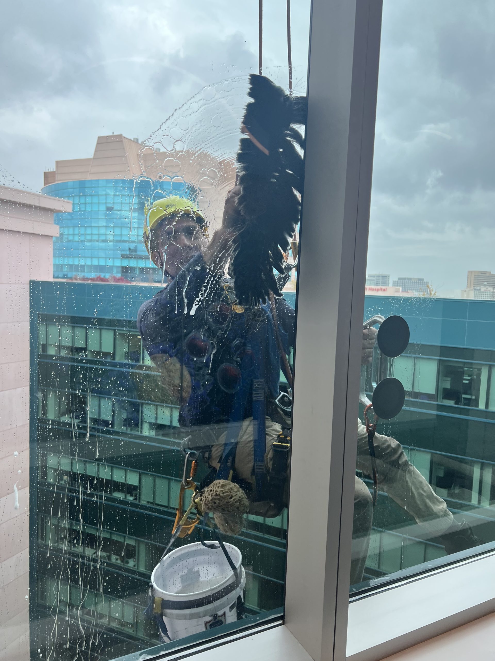 professional window washing